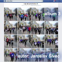 Jaroslav Šivec 3